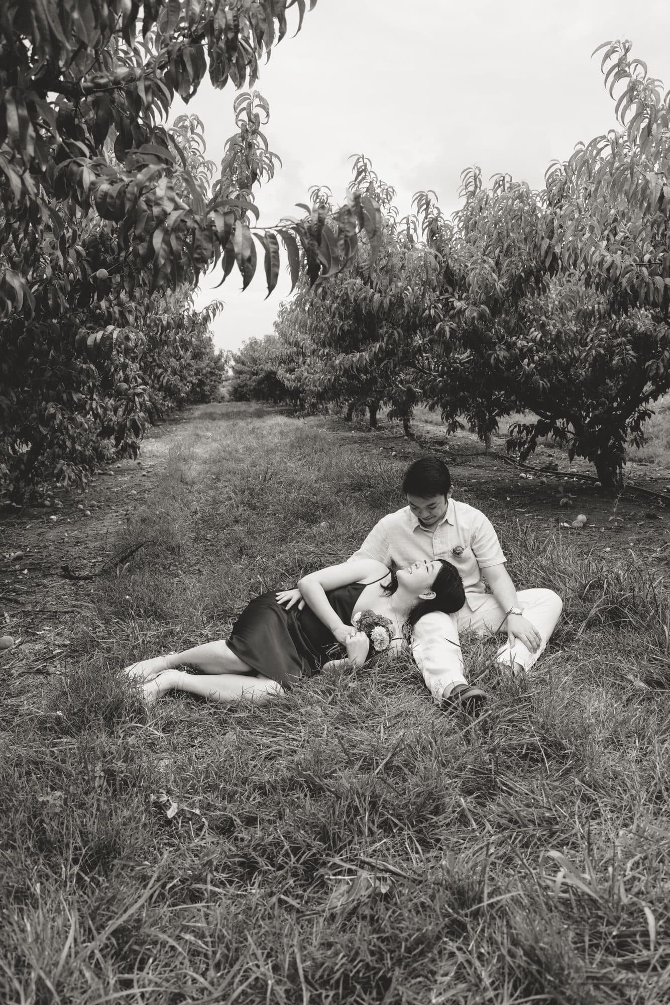 Katie resting in Jeffrey's lap between the rows of peach trees